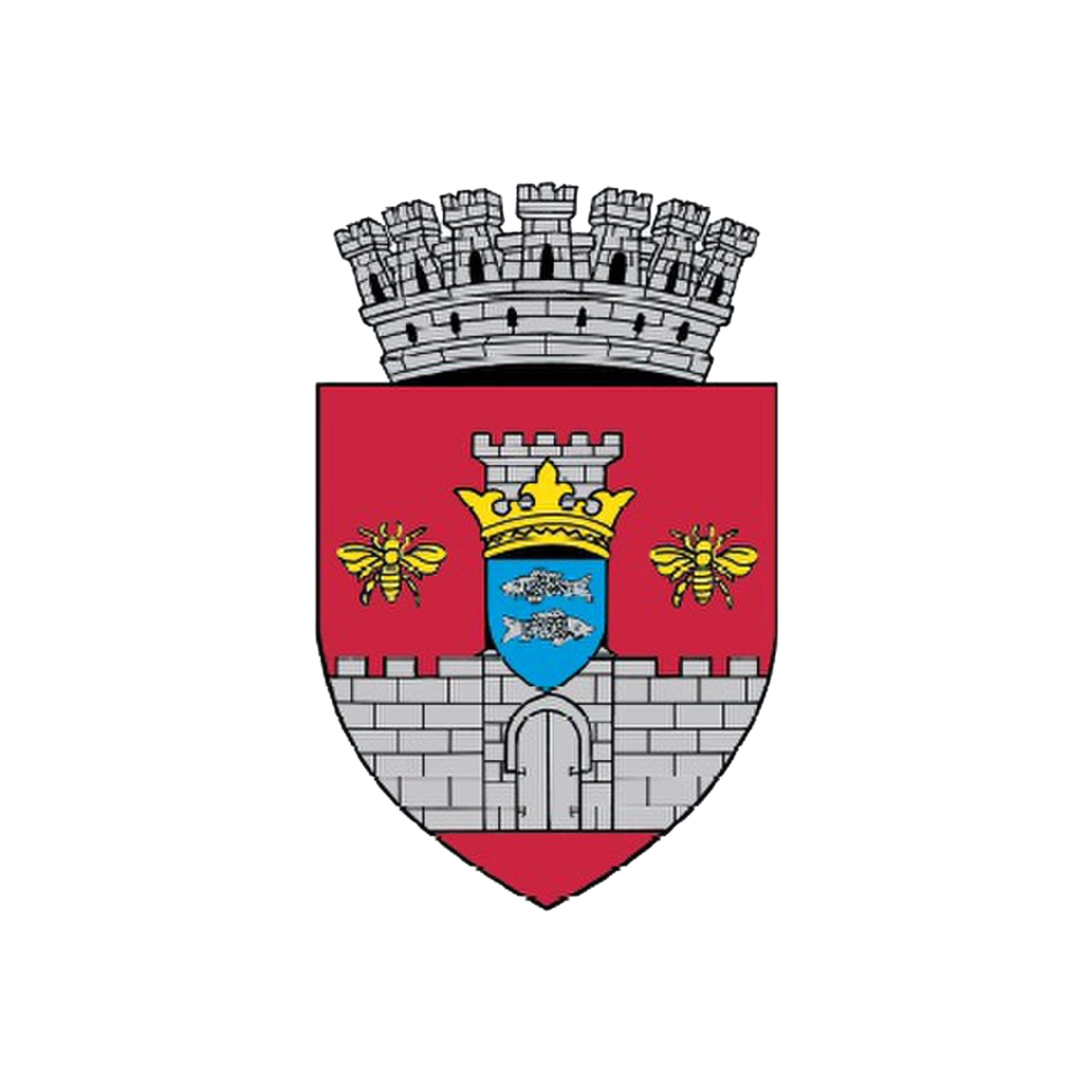 Primăria Municipiului Vaslui